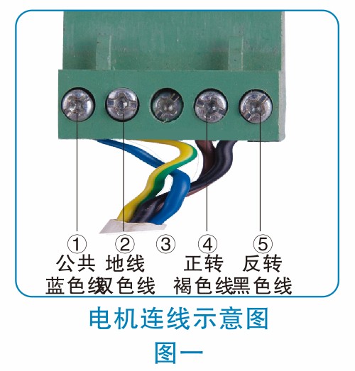 1637387683132652.jpg 2.jpg